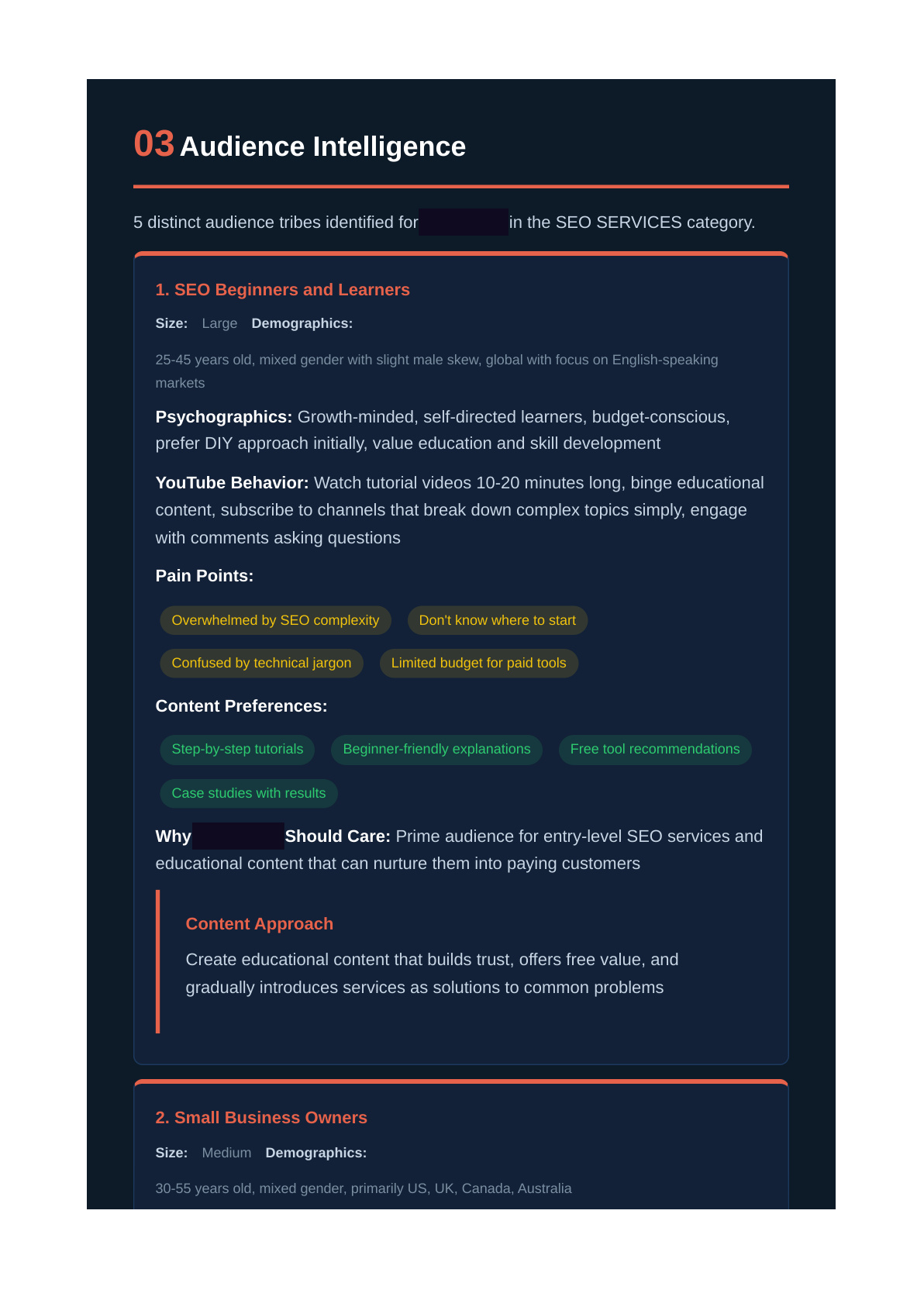 Audience tribal mapping with detailed personas